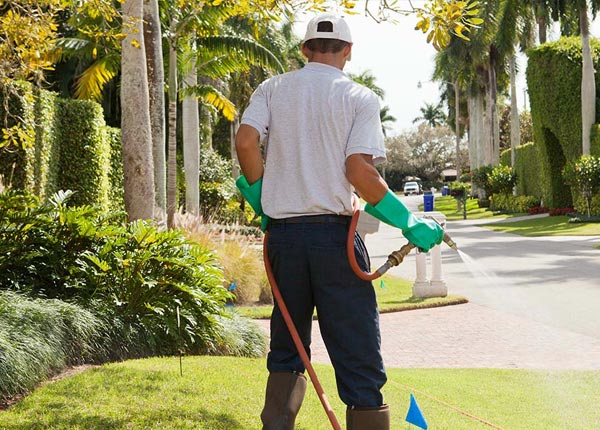 About Libertyville IL Pest Control Pros